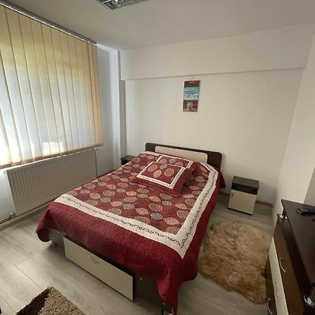 Apartament Mioritza 2B 霍雷祖 外观 照片