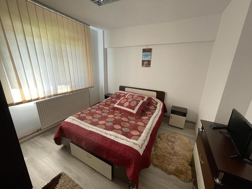 Apartament Mioritza 2B 霍雷祖 外观 照片